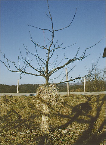 zascita